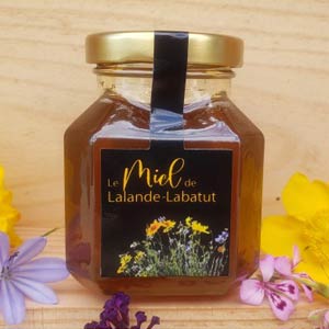 Miel de Lalande-Labatut 250g