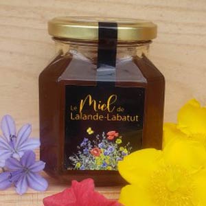 Miel de Lalande-Labatut 450g